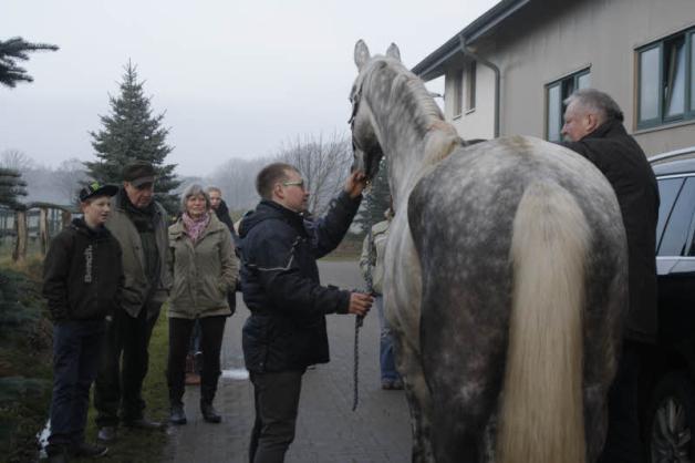 Familie Blohm  (l.) verfolgt die Untersuchung von Tamme Hanken beim Pferd ihres Reitlehrers Anatoli Schreiner. 