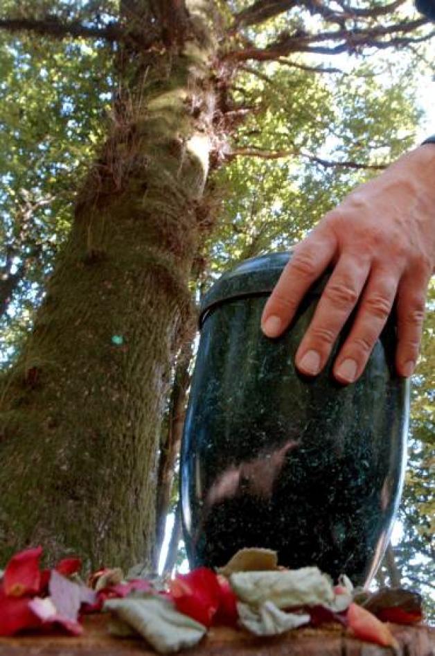 Im Trend: Die Beisetzung einer Urne im Friedwald ist eine pflegeleichte Alternative. 