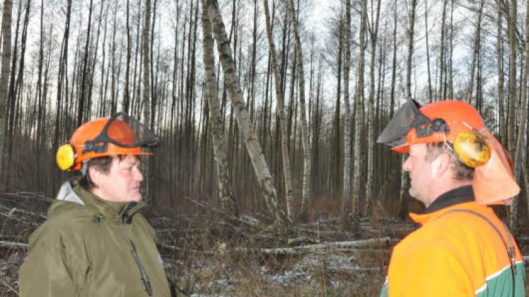 Holger Michel und Uwe Kemnitz beratschlagen im Priemerwald die nächsten Rodungsarbeiten in einer von drei Schneisen, die drei Windhosen am 6. Dezember schlugen. Fünf Prozent des Waldbestandes in der Stadtforst wurden ein Opfer des heftigen Sturms.  Fotos: hans-jürgen kowalzik (4) 