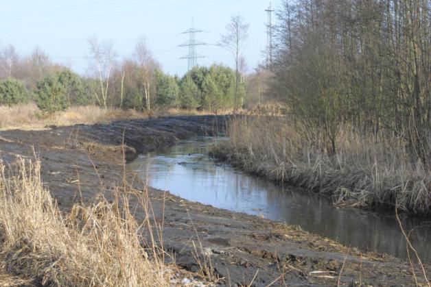 Nach der Sanierung des Flussbettes hat sich die Fließgeschwindingekt  der Boize erhöht. Der Bewuchs an der rechten Uferseite wurde nicht zurückgeschnitten.   Fotos: D. Hirschmann 