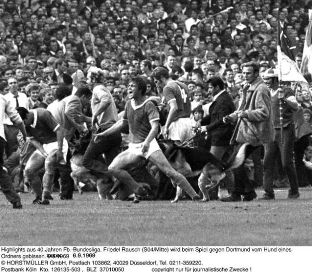 Auch das geschah auf der Dortmunder Roten Erde: 1969 wurde der Schalker Friedel Rausch von dem Hund eines Ordners in den Po gebissen.