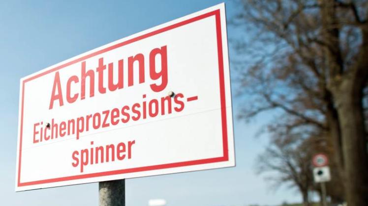 Mancherorts – wie hier im Brandenburgischen – muss schon auf Hinweisschildern vor dem Eichenprozessionsspinner gewarnt werden, der weiter auf dem Vormarsch Richtung Norden ist.  Fotos: dpa 