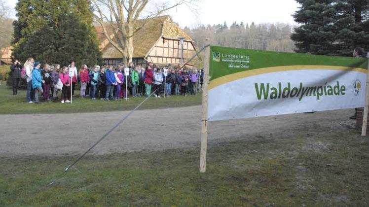 Zur Eröffnung der landesweiten Waldolympiade trafen sich die Schüler der vierten Klassen gestern im Forstamt Jasnitz.  Fotos: Dieter Hirschmann 