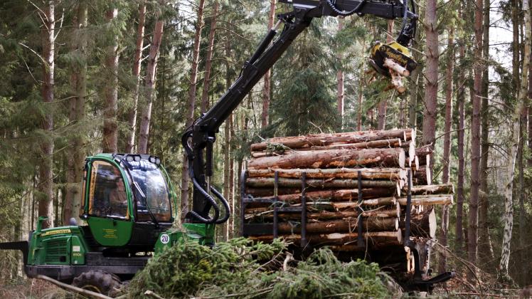67 000 Festmeter Holz sind den Stürmen „Christian“ und „Xaver“ im Herbst 2013 zum Opfer gefallen. 67 000 Festmeter Holz sind den Stürmen „Christian“ und „Xaver“ im Herbst 2013 zum Opfer gefallen.