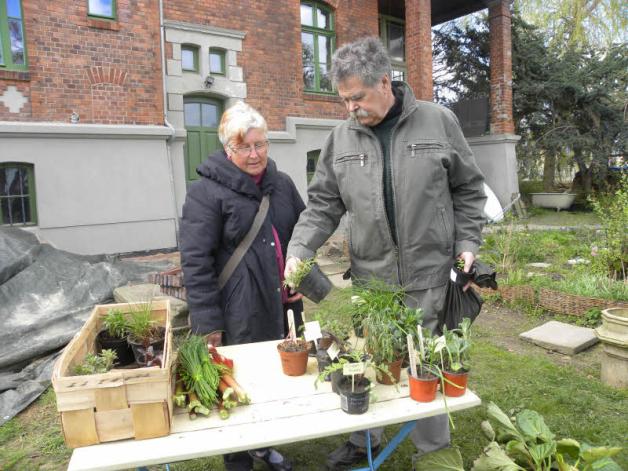 Bei Karin Zeisler fand Heinz Hornburg eine Menge Pflanzen, die ihn interessierten.