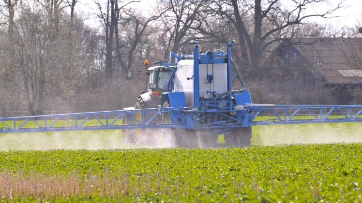 Unkrautvernichter und Erntebeschleuniger: Das Herbizid Roundup wird häufig verwendet.