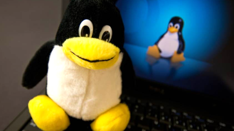 Linux-Systeme sind an dem Pinguin-Maskottchen zu erkennen.  