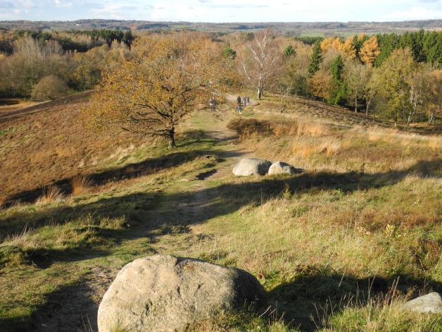 Blick vom Boxberg. Blick vom Boxberg.