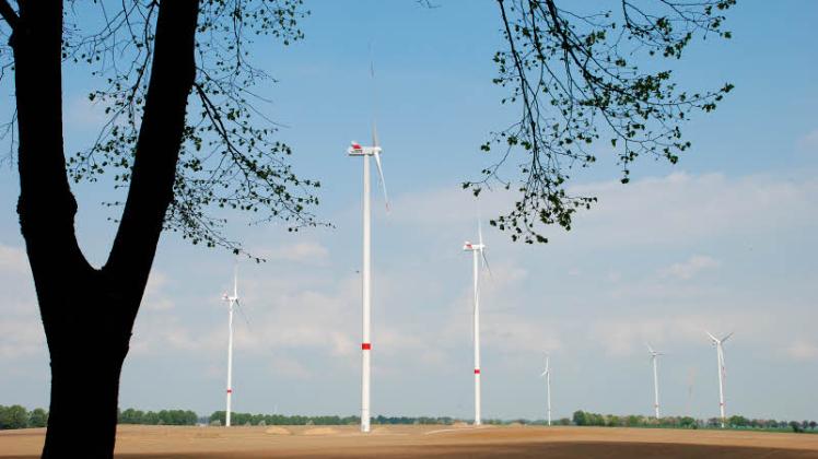 Im Windpark  wird bereits Strom erzeugt. 