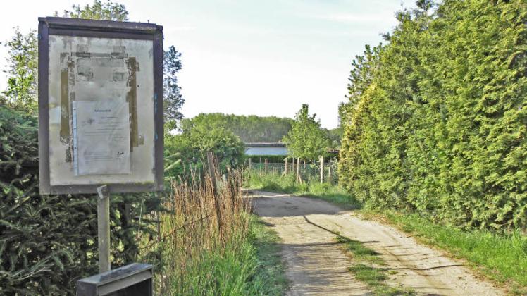 Schauplatz der Tat: Sternberger Kleingartenanlage „Ravenswinkel“. 