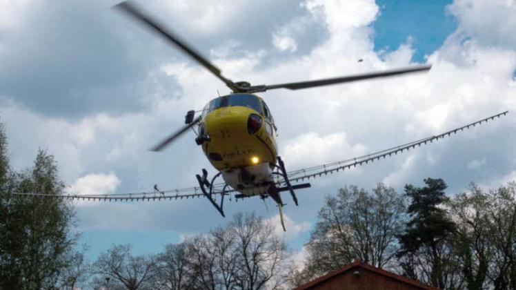 Neuauflage: Wie schon im Vorjahr soll der Eichenprozessionsspinner auf der Luft bekämpft werden. Dieses Mal mit einem anderen Mittel.  