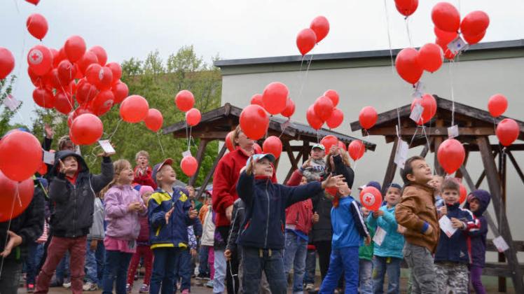 Ein großer Augenblick: Die rund 160 Kinder der Kita „Kinderland“ richten ihre Blicke in den Parchimer Himmel, als sie ihre Wunschballons aufsteigen lassen. Fotos: Caroline Weißert 