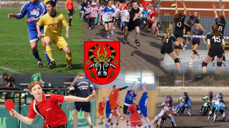 Parchim ist bei genauerem Hinsehen eine richtige Sport-Stadt.  Collage: Thomas Zenker 