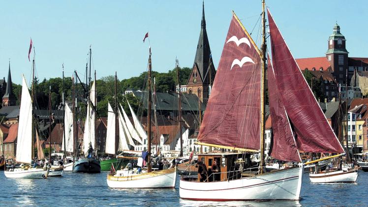 Die Highlights der RumRegatta 2014 in Flensburg SHZ