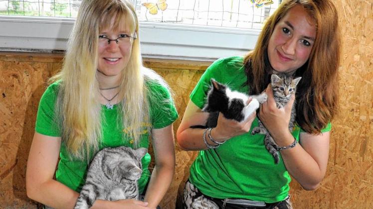 Sarah Muth und Swantje Malzahn (r.) haben alle Hände voll  mit der Betreuung von Katzenmüttern und Jungtieren zu tun.