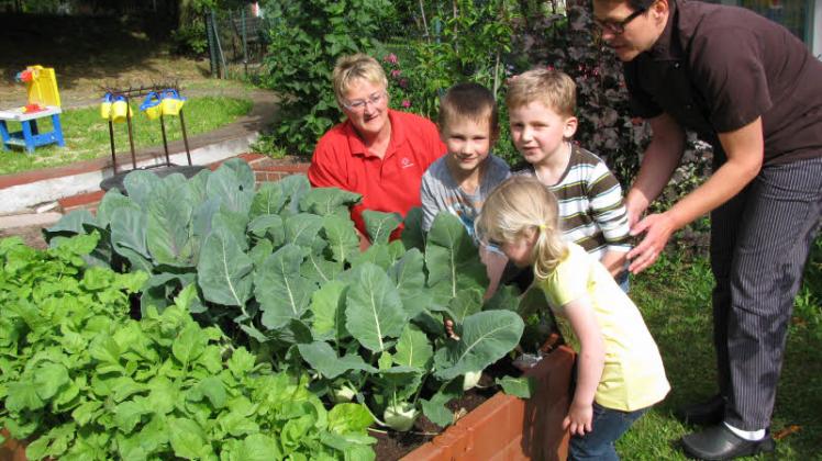 Am Hochbeet: Josefine (4) aus Kaarz, der Loizer Hendrik (4) und Fabien (6) aus Sternberg zusammen mit Kathrin Haese (r.), Küchenleiterin von der DRK-Seniorenanlage nebenan, sowie Kita-Chefin Weike Aselmeyer.