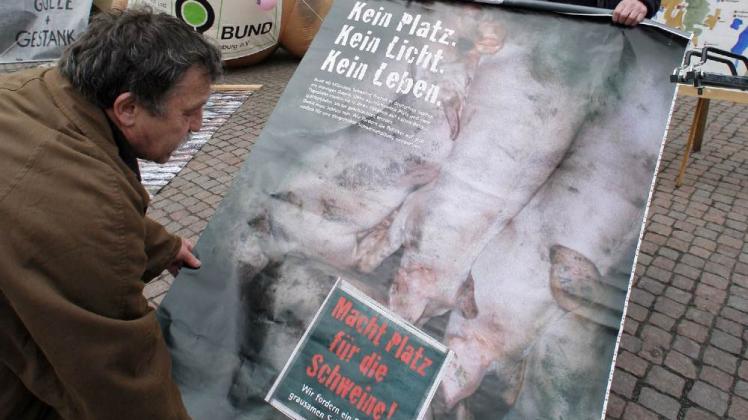 Die geplante Schweinemastanlage sorgt seit  Jahren für Unmut bei Umweltschützern.  