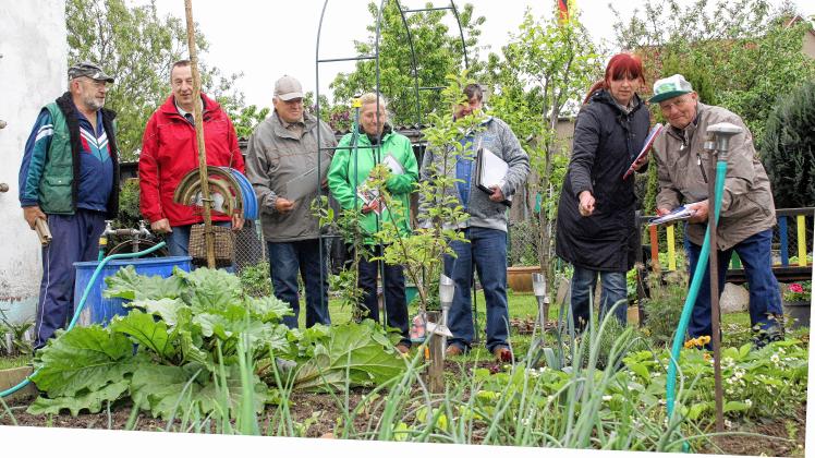 Gartenbegehungen 2014 im Verband der Gartenfreunde Parchim. Hier ist die Bewertergruppe im Garten von Horst Krakau (l.) in der Parchimer Anlage „Am Badstaven“.