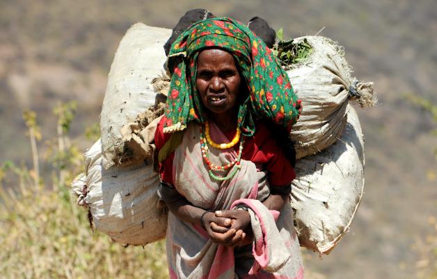 Die Kaudroge als Lebensgrundlage: Eine Frau in Äthiopien trägt ihre Khat-Ernte auf dem Rücken. 