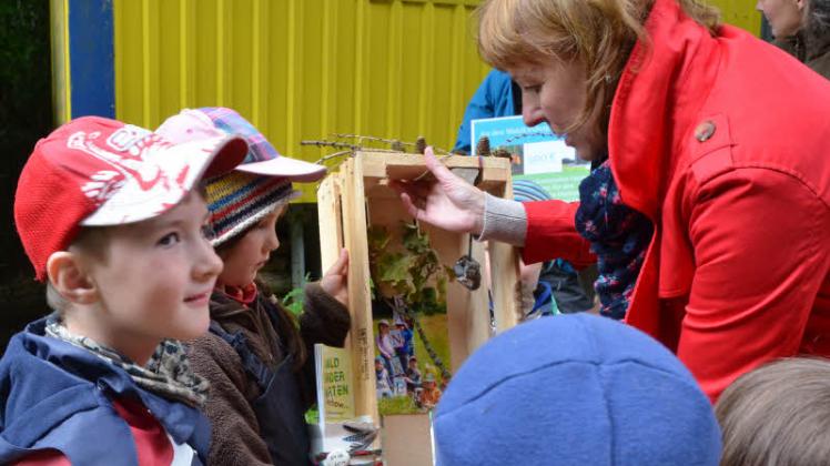 Waldfundstücke fanden sich in der Kiste, die die Kinder als Dankeschön gebastelt hatten. Waldfundstücke fanden sich in der Kiste, die die Kinder als Dankeschön gebastelt hatten.