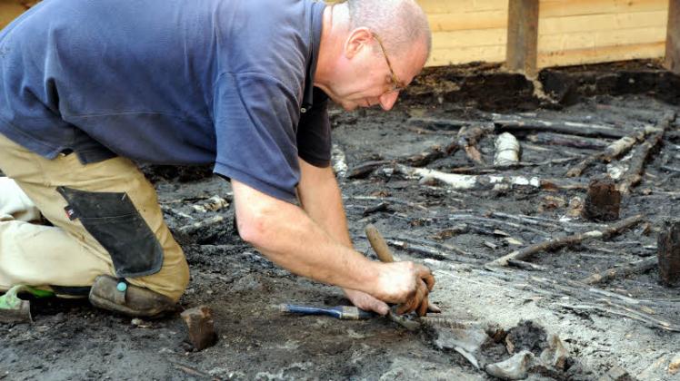 Grabungen im Schlossinnenhof: Archäologe Gert Reichelt legt neben dem Flechtfußboden eines Gebäudes einen Pferdeschädel frei.  