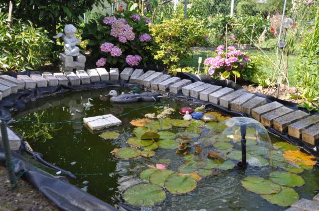 Im kleinen Teich gleich neben der Terrasse leben auch Goldfische. Fotos: Ilja baatz Im kleinen Teich gleich neben der Terrasse leben auch Goldfische. Fotos: Ilja baatz