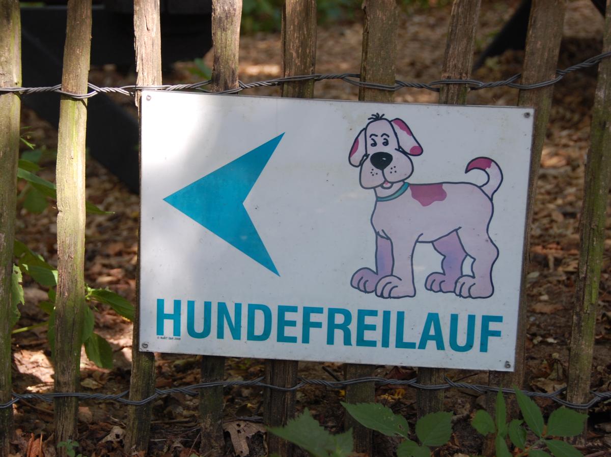 Rastparadies für Hunde auf Reisen | SHZ