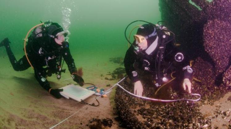 Teilnehmer des Schiffsarchäologischen Seminars an einem Schlepperwrack in der Warnemünder Bucht 