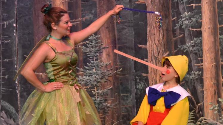Pinocchio und die Fee Pinocchio und die Fee