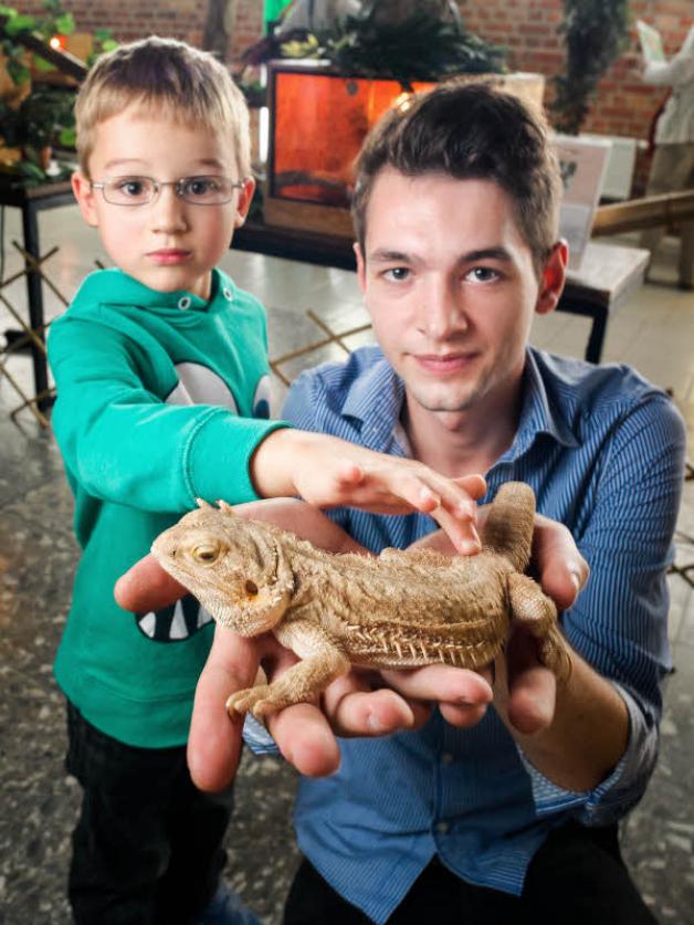 Der sechsjährige Niklas   aus Rostock ist von Käfern, Spinnen und Schlangen begeistert. Tierwelt-Mitarbeiter Lennert Kröger (20) hat  ihm eine Bartagame gezeigt.