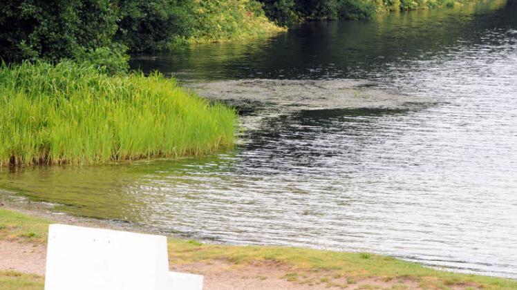 Großalgen im Lankower See schrecken Badegäste ab, sprechen aber für eine gute Wasserqualität und veröden im Spätsommer.  