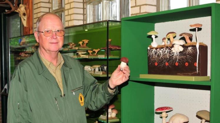 Pilzexperze: Ernst-Otto Pieper kennt sich aus bei Pilzen, hat im Waldmuseum eine ganze Vitrine voller Anschauungsobjekte.   