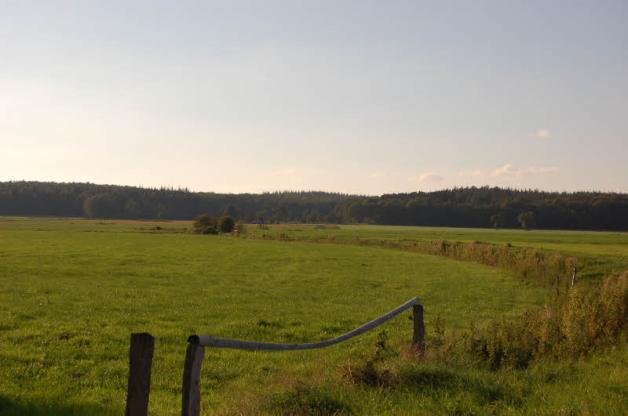 Ein Blick ins „Himmelreich“: Diese Landschaft kann zwischen Gnutz und Heinkenborstel genossen werden. Ein Blick ins „Himmelreich“: Diese Landschaft kann zwischen Gnutz und Heinkenborstel genossen werden.