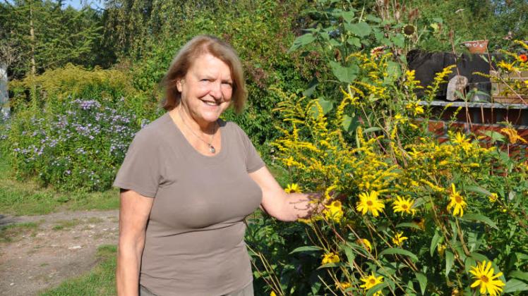 Zwei Mal kräftiges Gelb, wobei die Goldrute, die die Blumen überragt, ein Unkraut ist, das sich im Garten gern vermehrt und manchem lästig wird. Für Heilpraktikerin Ursula Schönfeld aus Weberin bereichert die Goldrute die Apotheke aus der Natur.  