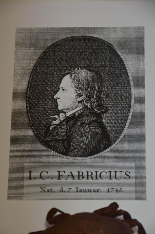 Johann Christian Fabricius. Johann Christian Fabricius.