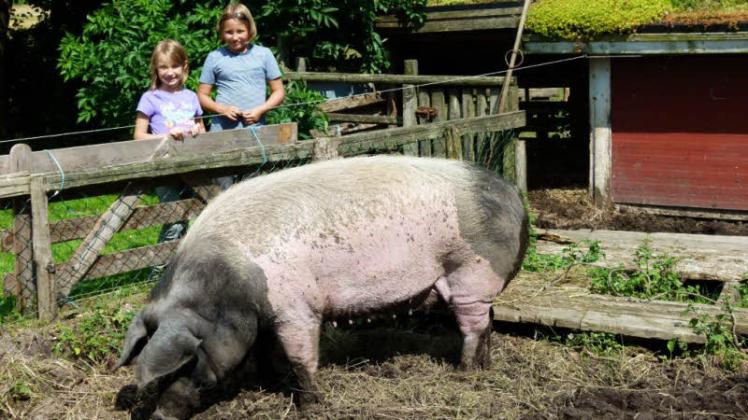 Neuer Bildband Sch ne Und Besondere Dorfeinsichten