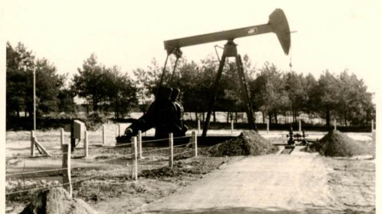 Die Pferdekopfpumpen förderten über 30 Jahre lang Erdöl aus etwa 2000 Metern Tiefe.  