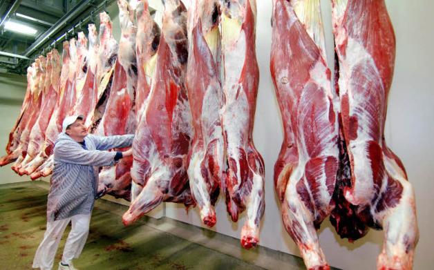 Lebensmittelkontrollen bei Schlachttieren sollen laut EU „berührungslos“ sein – laut Kreisveterinäramt ist das in Fachkreisen umstritten. 