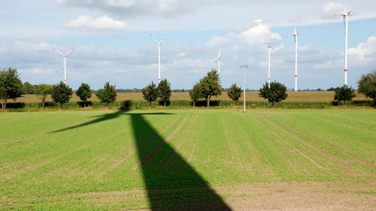 Die Parchimer Bürgerinitiative befürchtet, dass der Windpark erweitert wird. Fotos: W. Pätzold 