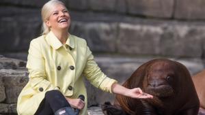 Ina Müller kam gut gelaunt wie immer ins Walross-Gehege, um den jungen Spross der dicken Meeressäuger zu taufen.