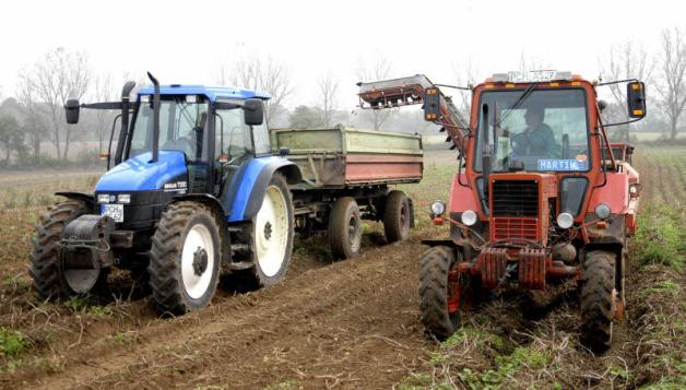 Vollen Einsatz bringen derzeit die Maschinen der Agrargenossenschaft Rom bei der Kartoffelernte.