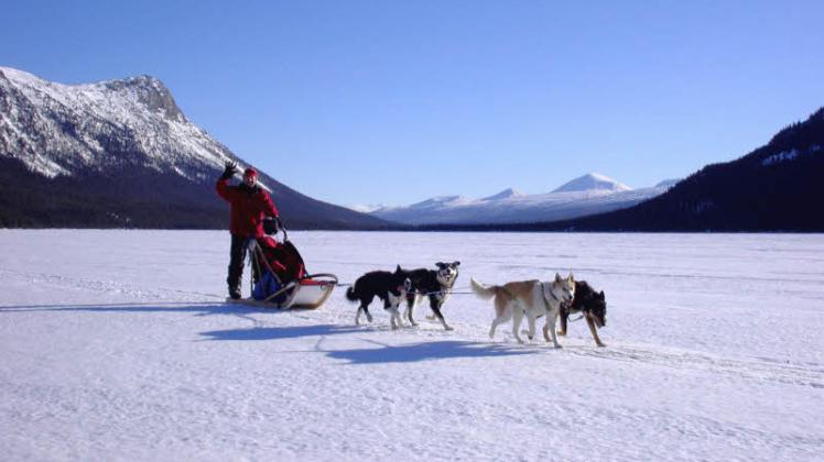 Harald Gross aus Eckernförde mit seinem Hundeschlitten mitten in der Yukon-Wildnis. 
