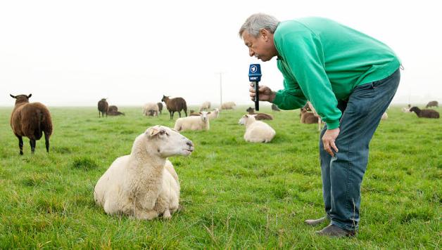 Und was sagen Sie dazu? Der Moderator Christoph Biemann befragt nicht nur Menschen, sondern auch gern mal ein Schaf. 