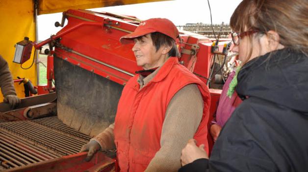 Edith Günther steht am Sortierband auf der Kartoffelkombine. Edith Günther steht am Sortierband auf der Kartoffelkombine.