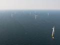 „Wald“ an der Küste: Blick auf den Offshore-Windpark EnBW Baltic 1 vor dem Darß. Bald soll Arcadis Ost 1 folgen.  