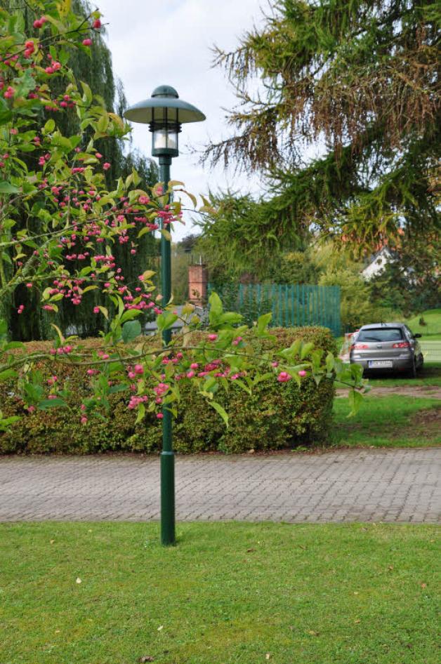 Die Lampen auf dem Gelände wurden wie der Zaun in Moosgrün farblich angepasst. Die Lampen auf dem Gelände wurden wie der Zaun in Moosgrün farblich angepasst.
