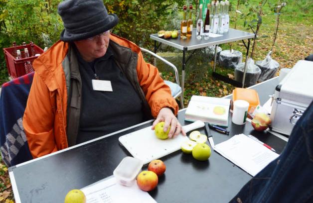 Pomologin Dr. Ute Hoffmann-Detering half bei der Bestimmung unbekannter Apfelsorten.