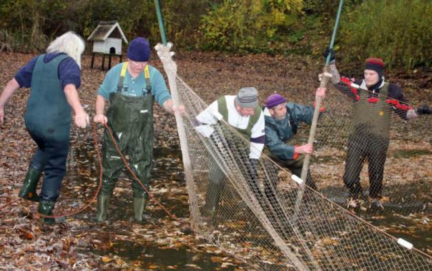 Abfischen mit VolksfestCharakter SHZ