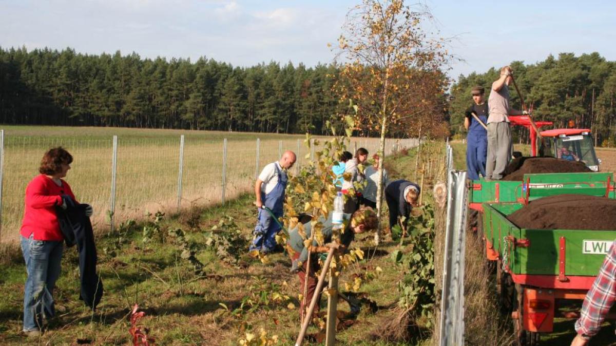 Die fleißigen Gärtner von Uelitz SVZ