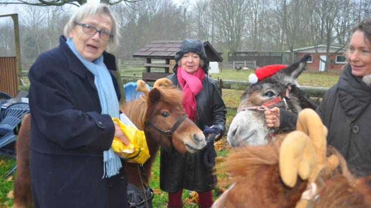 Die Ehrenvorsitzende des Tierschutzvereins Angeln und Schwansen Christel Grube (links) raschelte mit ihrer Tüte und Pony und Esel eilten herbei.  